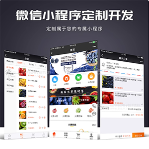 网站/小程序开发